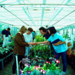 Students in a greenhouse, looking at plants