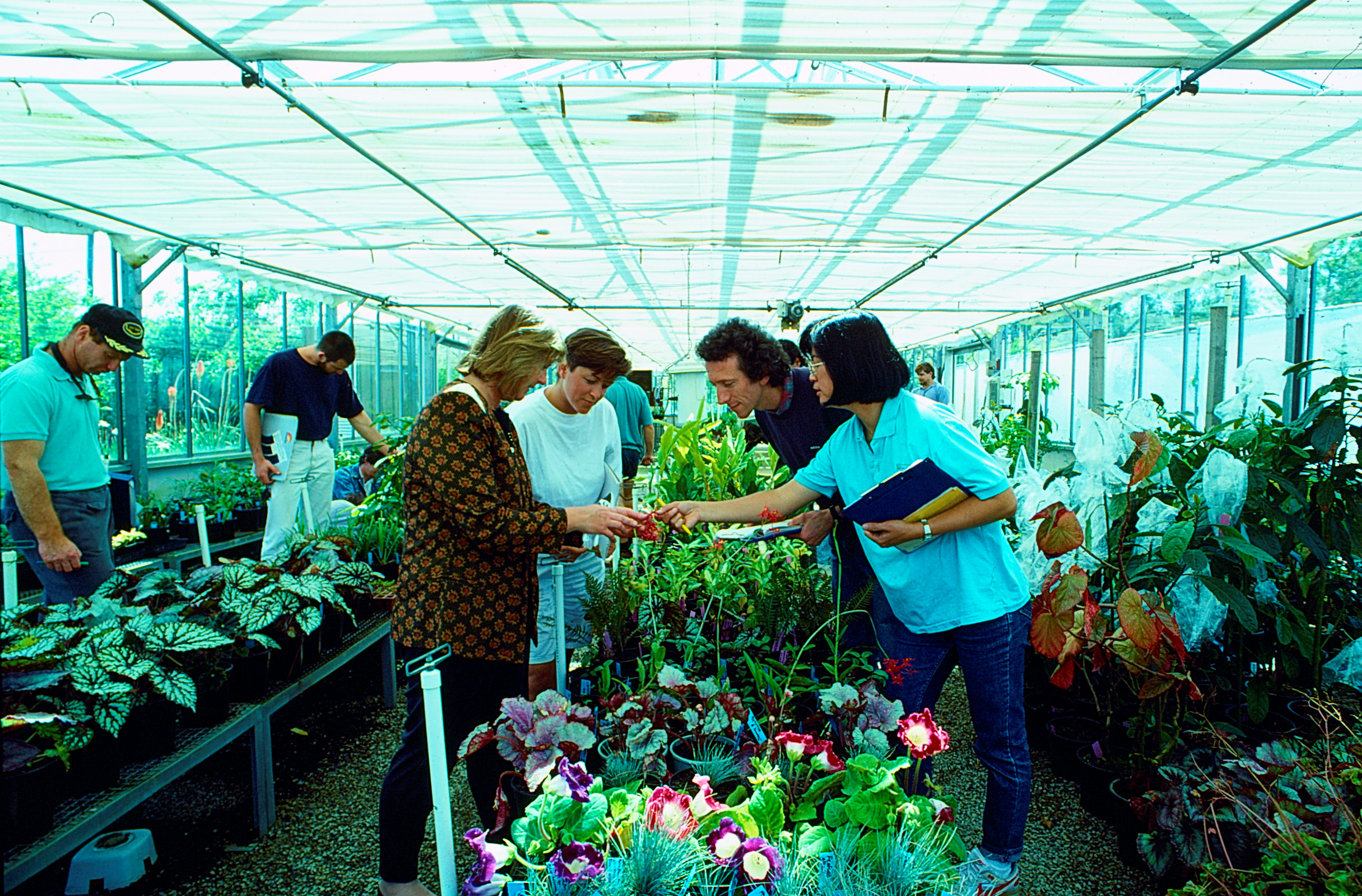 Students in a greenhouse, looking at plants