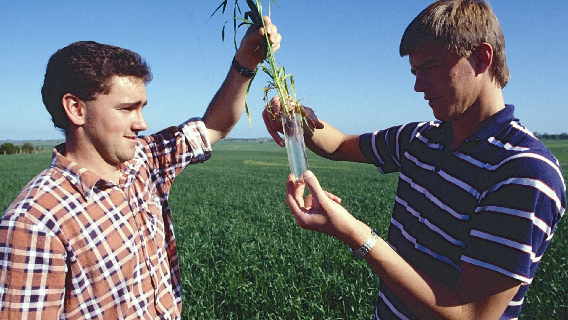 Two students holding a small crop plant up, behind them is a green field of crops.